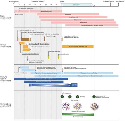 Effects of early postnatal life nutritional interventions on immune-microbiome interactions in the gastrointestinal tract and implications for brain development and function